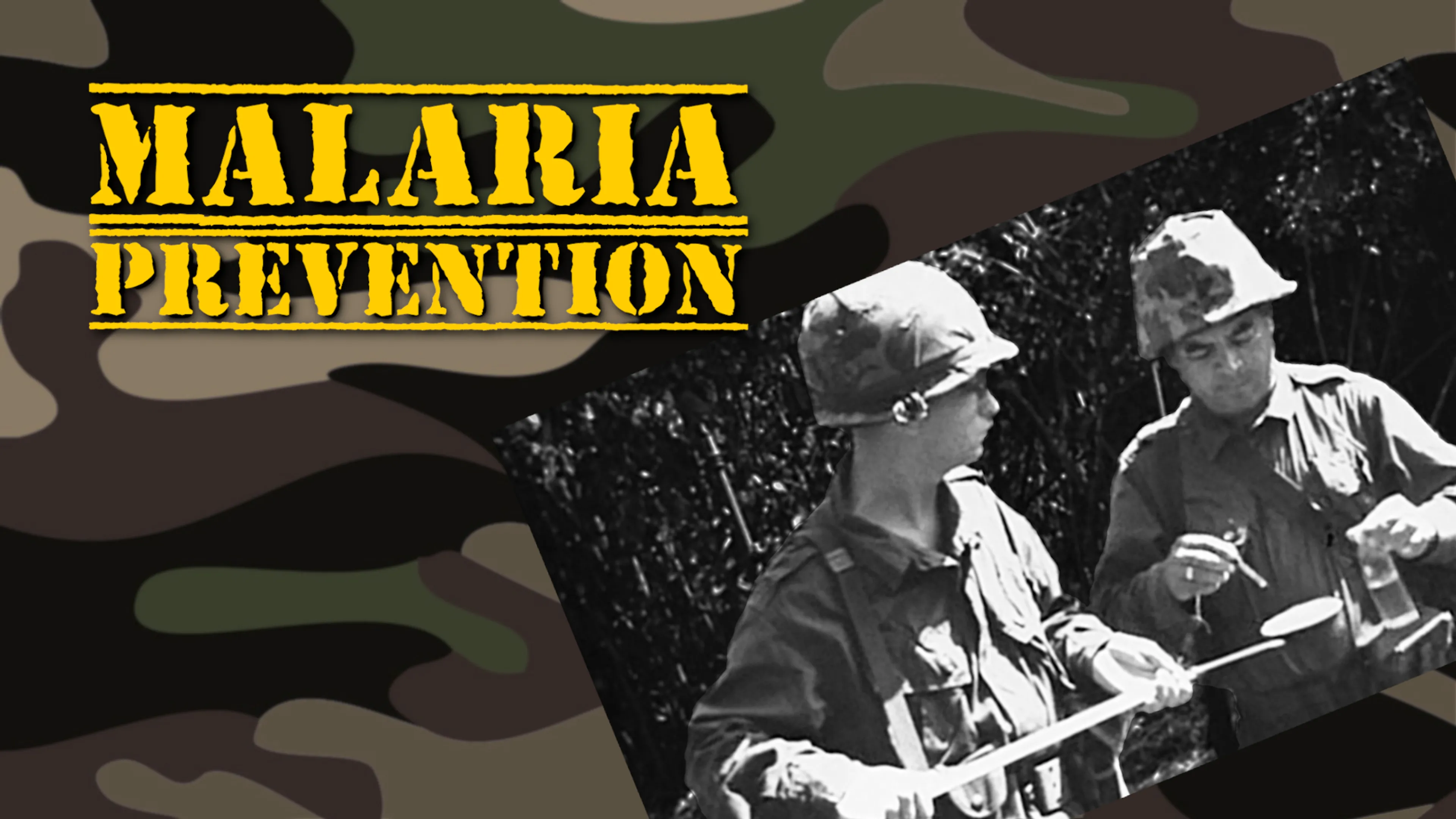 Malaria Prevention poster